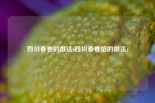 四川春卷的做法(四川春卷馅的做法)