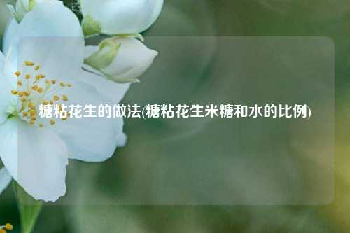 糖粘花生的做法(糖粘花生米糖和水的比例)