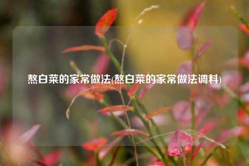 熬白菜的家常做法(熬白菜的家常做法调料)