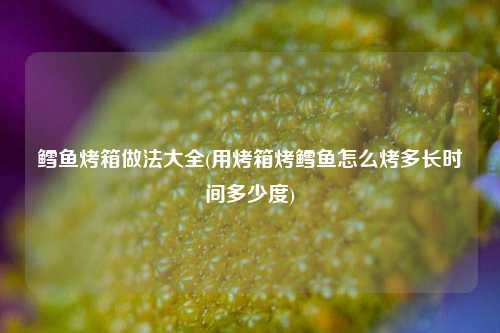 鳕鱼烤箱做法大全(用烤箱烤鳕鱼怎么烤多长时间多少度)