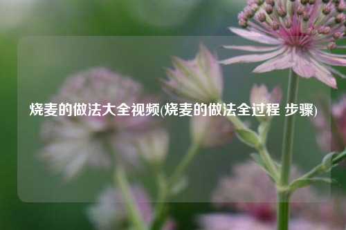 烧麦的做法大全视频(烧麦的做法全过程 步骤)