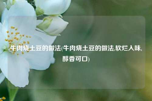 牛肉烧土豆的做法(牛肉烧土豆的做法,软烂入味,醇香可口)
