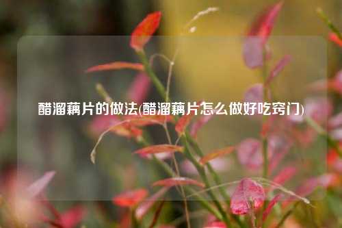 醋溜藕片的做法(醋溜藕片怎么做好吃窍门)