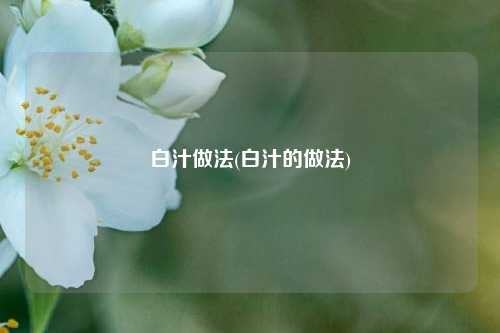 白汁做法(白汁的做法)