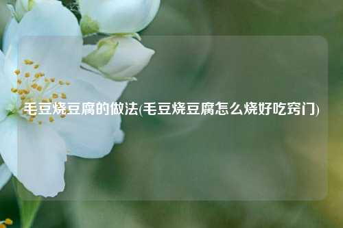 毛豆烧豆腐的做法(毛豆烧豆腐怎么烧好吃窍门)