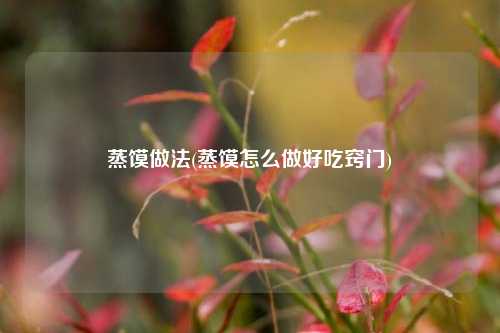 蒸馍做法(蒸馍怎么做好吃窍门)