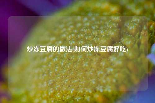 炒冻豆腐的做法(如何炒冻豆腐好吃)