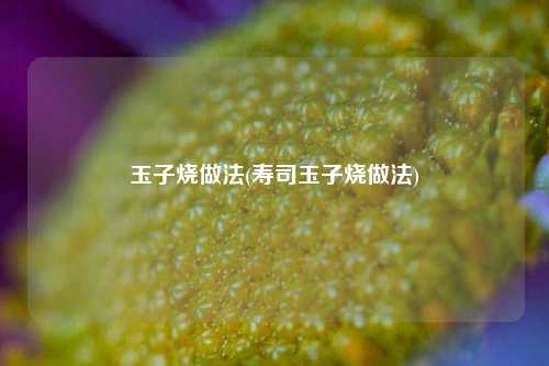 玉子烧做法(寿司玉子烧做法)