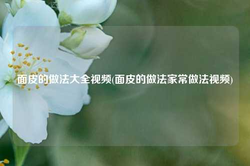 面皮的做法大全视频(面皮的做法家常做法视频)