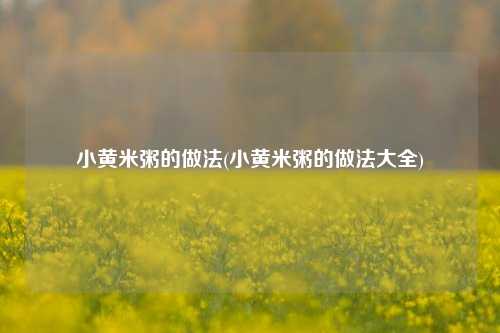 小黄米粥的做法(小黄米粥的做法大全)