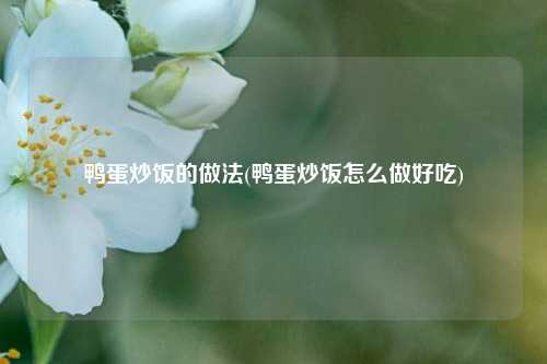 鸭蛋炒饭的做法(鸭蛋炒饭怎么做好吃)