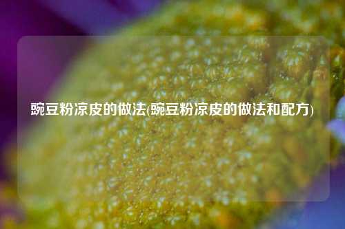 豌豆粉凉皮的做法(豌豆粉凉皮的做法和配方)
