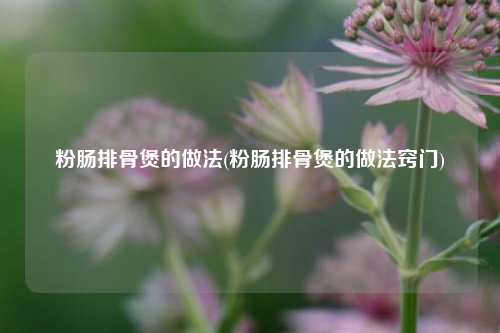 粉肠排骨煲的做法(粉肠排骨煲的做法窍门)